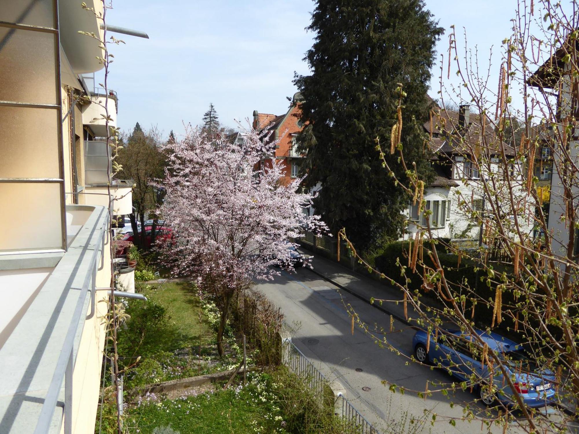 Maison Mosgenstein Bern Luaran gambar