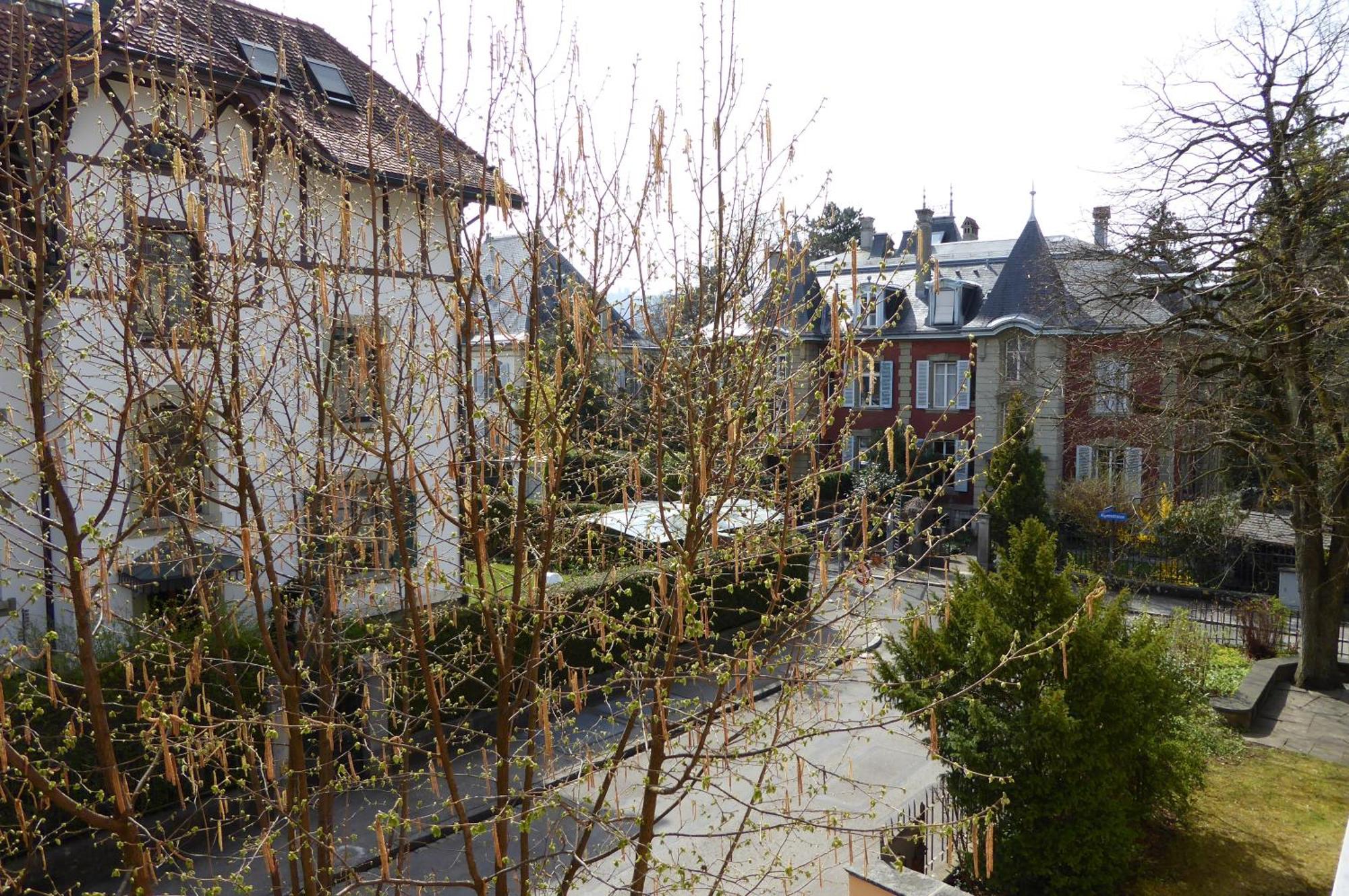 Maison Mosgenstein Bern Luaran gambar